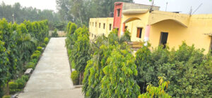 School Back 300x140